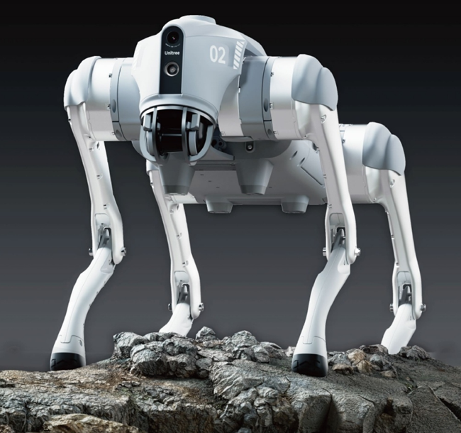Robot Dog Go2